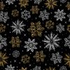 Snowflakes from Future II
